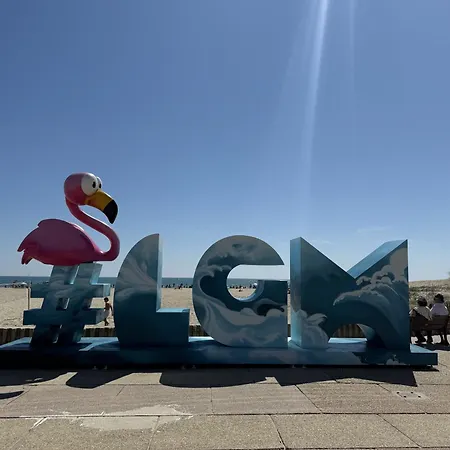 Sol-y-days Belles Plages Rdj Bords De Et Piscine *